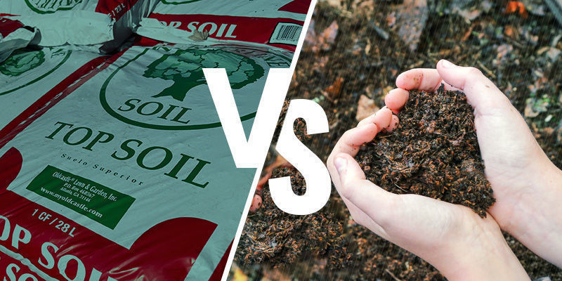 Butikskøbt Vs hjemmelavet cannabisjord Butikskøbt vs hjemmelavet cannabisjord