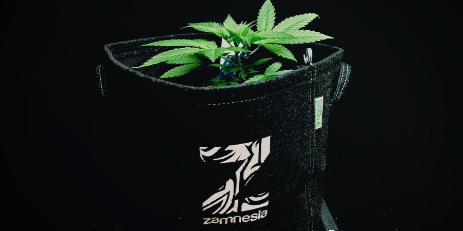 Stofpotter aka smart pots Stofpotter aka smart pots cannabis