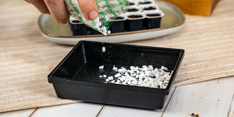 Læg et tyndt lag perlite i bunden af formeringsbakkens Læg et tyndt lag perlite i bunden af formeringsbakkens