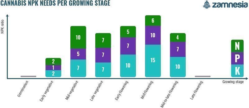 Cannabis NPK-behov pr. vækstfase Cannabis NPK Needs Per Growing Stage