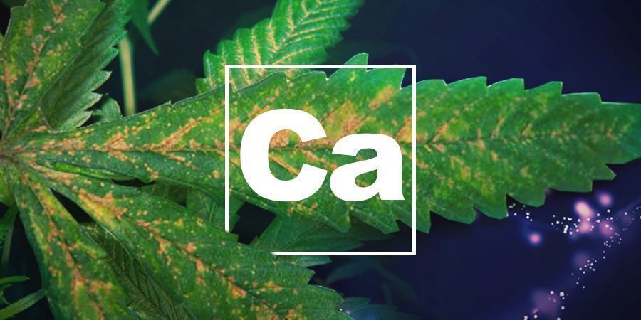 Calciummangel