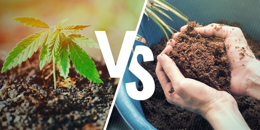 Jord vs coco coir NPK: Soil vs Coco Coir