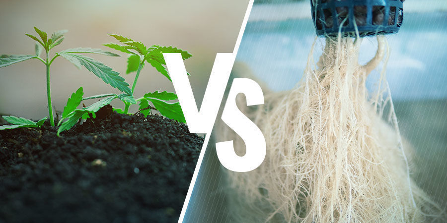 Jord vs hydroponik NPK: Soil vs Hydroponics