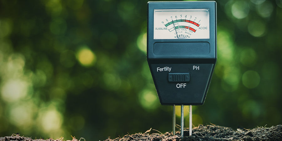 Betydningen af pH og mikronæringsstoffer The Importance of pH and Micronutrients