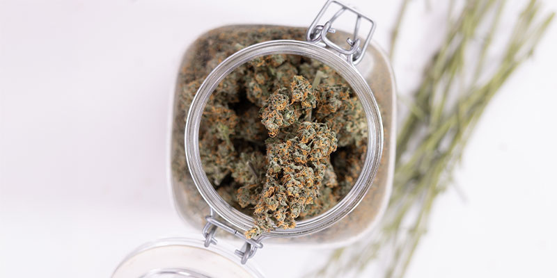 How to store weed (properly) How to store weed (properly)