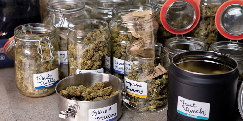 Vask af cannabisblomster: Ja eller nej? Vask af cannabisblomster: Ja eller nej?