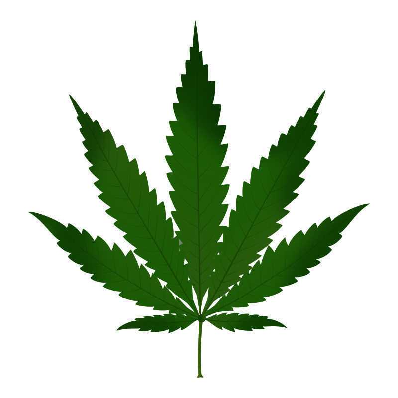 Kvælstofforgiftning i cannabisplanter: Begyndende kvælstofforgiftning