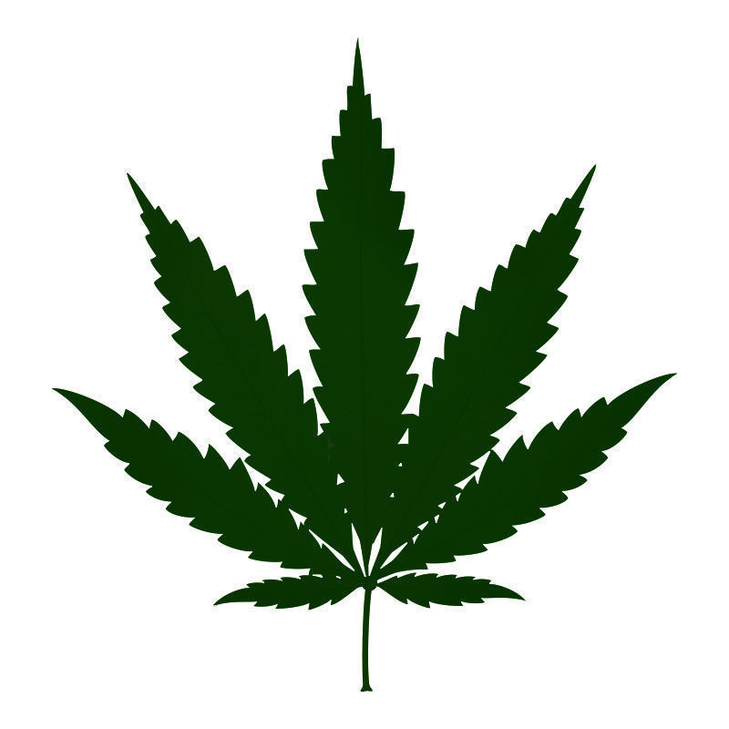 Kvælstofforgiftning i cannabisplanter: Sent stadie af kvælstofforgiftning