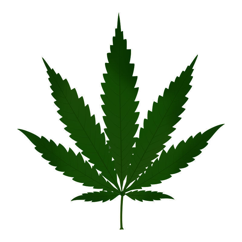 Kvælstofforgiftning i cannabisplanter: Udvikling af kvælstofforgiftning