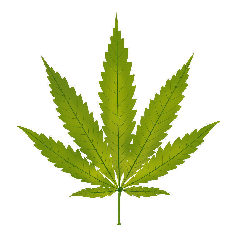 Zinkmangel i cannabisplanter: Starten på zinkmangel