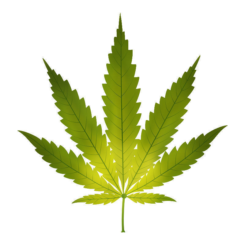 Jernmangel i cannabisplanter: Starten p&aring; jernmangel