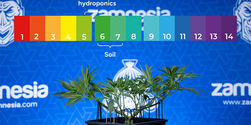 Udeluk pH-ubalance og næringsstofblokering Rule out pH imbalance and nutrient lockout