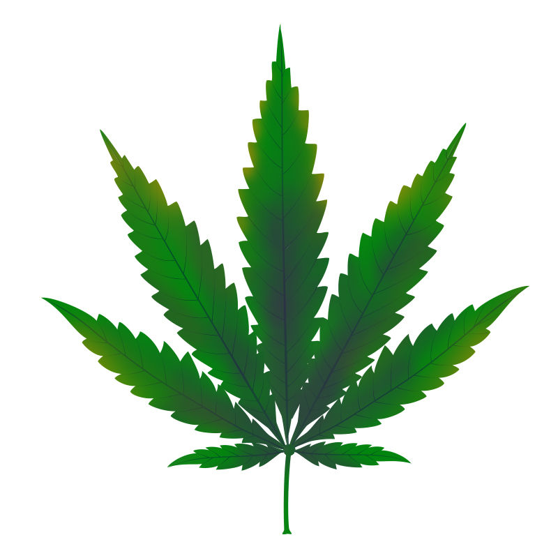 Kobbermangel i cannabisplanter: Starten på kobbermangel