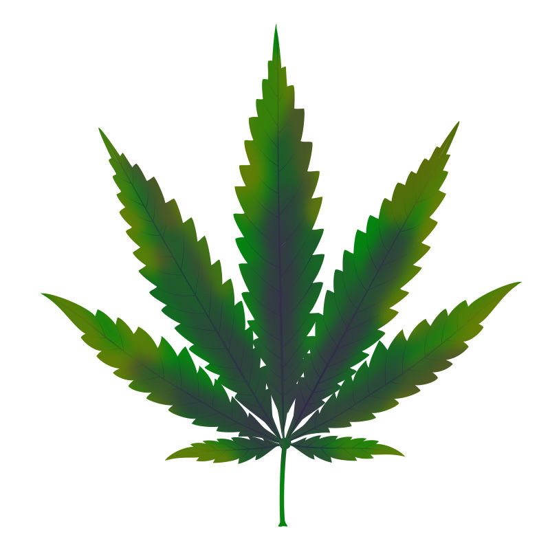 Kobbermangel i cannabisplanter: Udvikling af kobbermangel