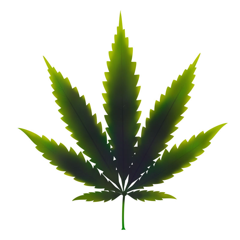 Kobbermangel i cannabisplanter: Sen fase af kobbermangel