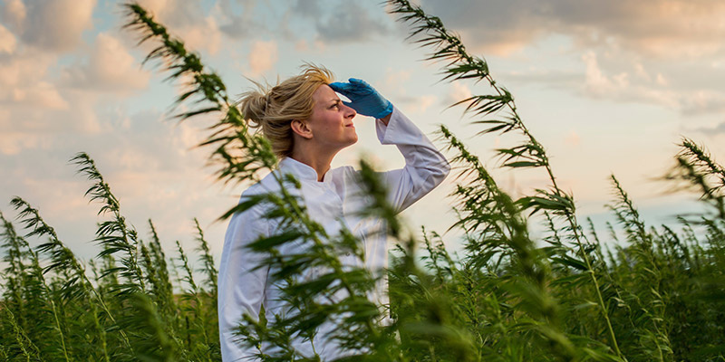 Udfordringer og tilpasninger i Croptober Udfordringer og tilpasninger i Croptober