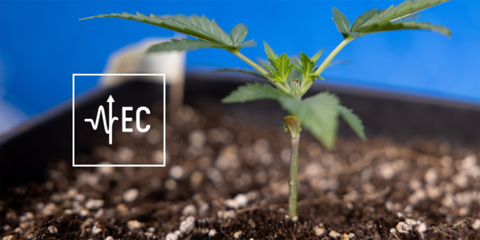 Hvad er EC, og hvorfor er det vigtigt? What is EC and why does it matter?