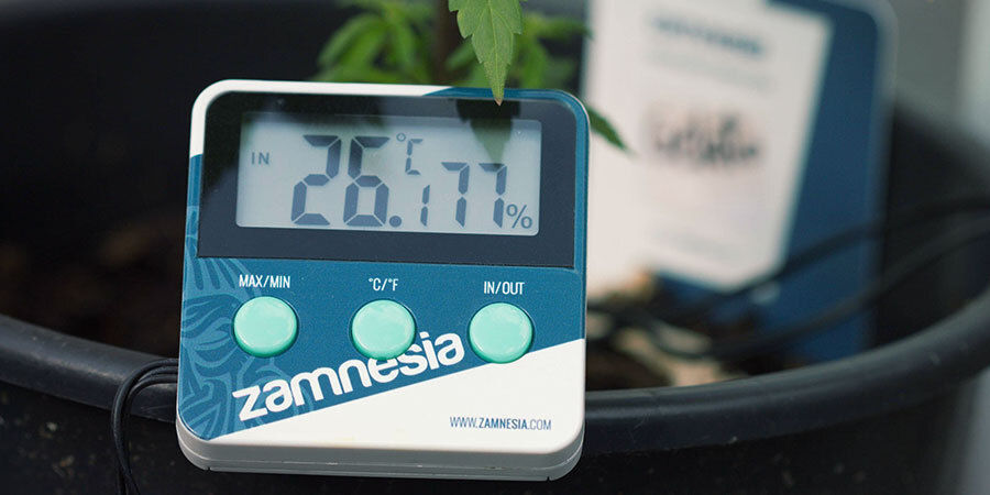 Relativ luftfugtighed Sådan vander du cannabisplanter: Relativ luftfugtighed