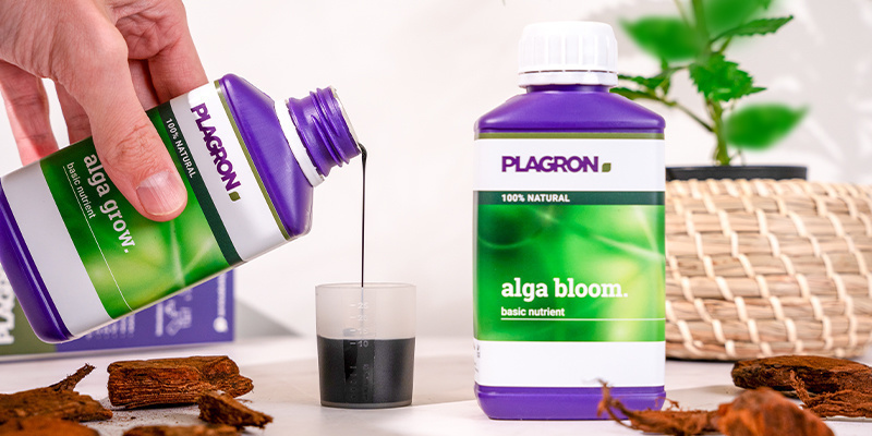 Easy Pack 100% Natural (Plagron) Easy Pack 100% Natural (Plagron)
