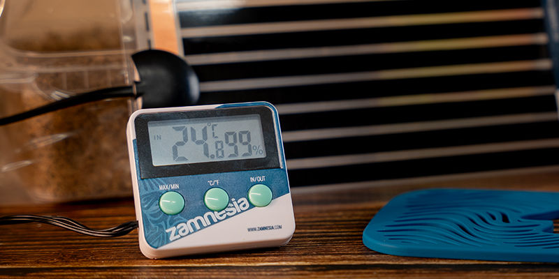 Magic Mushroom Hygrometer / Thermometer Magic Mushroom Hygrometer / Thermometer