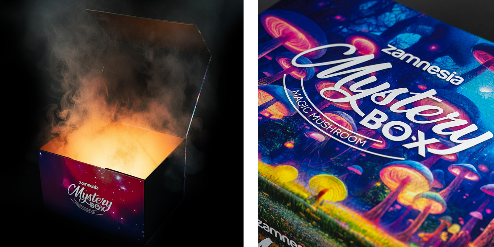 Magic Mushroom Mystery Box: Den ultimative Zamnesia-oplevelse