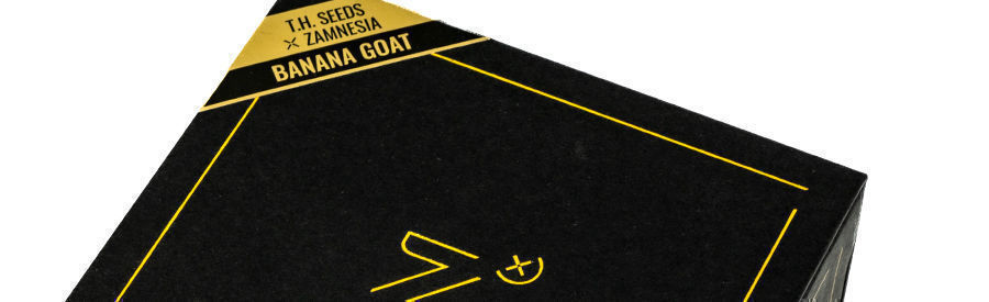 Banana Goat: Certificeret samlersæt Banana GOAT: Certificeret samlersæt