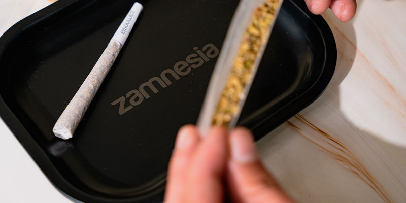 Metalgrinder [COUNTRY_NAME] (Zamnesia)