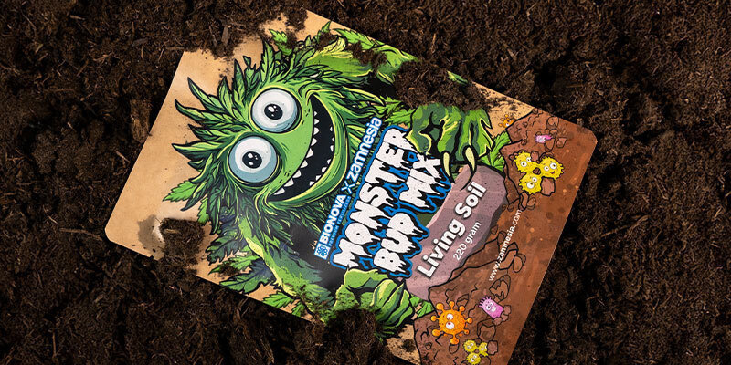 Zamnesia x Bionova - Monster Bud Mix Living Soil: Til sunde planter og sund jord Zamnesia x Bionova - Monster Bud Mix Living Soil: Til sunde planter og sund jord