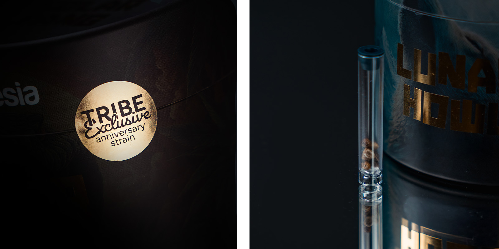 Aromaer, smagsnuancer og effekter af Lunar Howl: en stinkende, gassy slikfornøjelse Aromaer, smagsnuancer og effekter af Lunar Howl: en stinkende, gassy slikfornøjelse