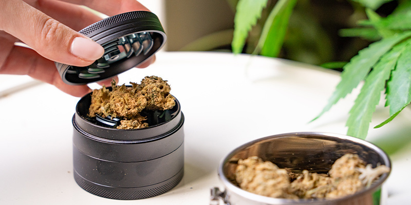 Først, kværn cannabissen så fint som muligt Først, kværn cannabissen så fint som muligt