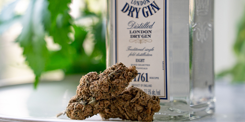 Sådan infuserer du ginnen Sådan infuserer du ginnen