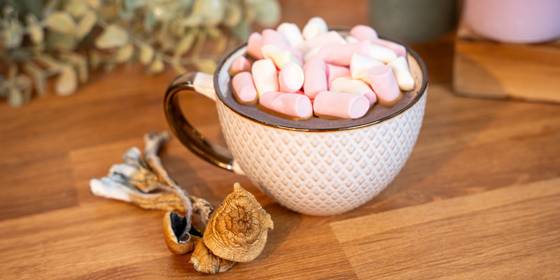 Hvad er svampechokolade? What is mushroom chocolate?