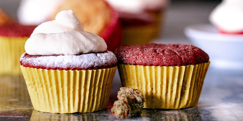 Chokolade-cannabis-cupcakes opskrift Chokolade-cannabis-cupcakes opskrift