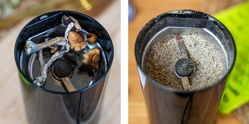 Brug en kaffekværn eller en grinder til at male dine magiske svampe til et fint pulver Use A Coffee Grinder Or Cannabis Grinder To Grind Your Magic Mushrooms Into A Fine Powder