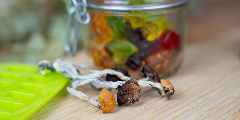 Sådan opbevarer du dine psilocybin-gummier i lang tid Sådan opbevarer du dine psilocybin-gummier i lang tid