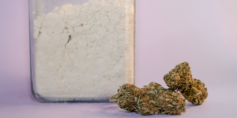 Hvad er cannabispulver helt præcist? What exactly is cannabis powder?