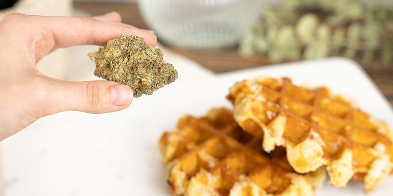 Risici ved at spise cannabisvafler Risici ved at spise cannabisvafler