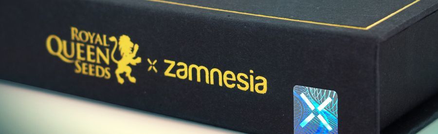 ZZ Punch ZZ Punch detalje
