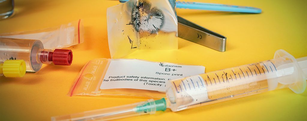 Sådan laver du en sporesprøjte med magiske svampe