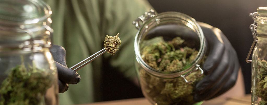 Sådan opbevarer du cannabis korrekt
