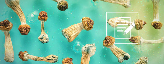 Det, du bør vide om shrooms (magiske svampe)
