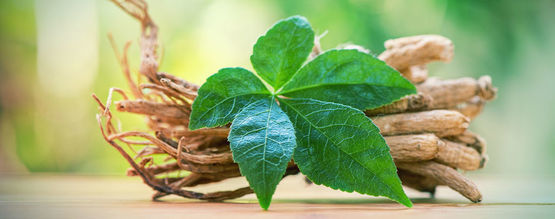 Lær ginseng at kende