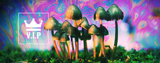 Psykedelika VIP'er