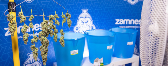 Bud washing: Hvad er det, og hvorfor bør du gøre det?