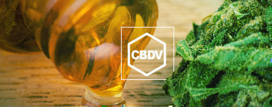 Hvad er CBDV?