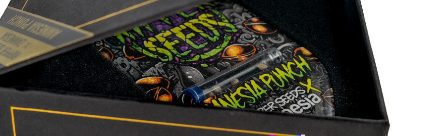 Amnesia Punch detaljer Amnesia Punch detaljer