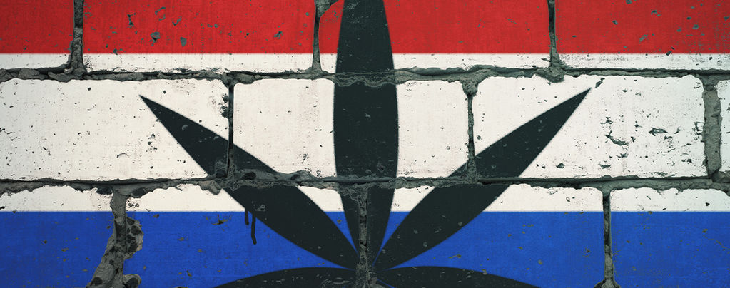 Cannabis Smoking Spots Netherlands