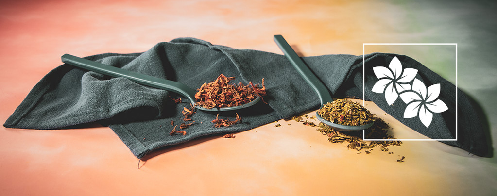 Wild dagga og klip dagga: Hvad er forskellen?