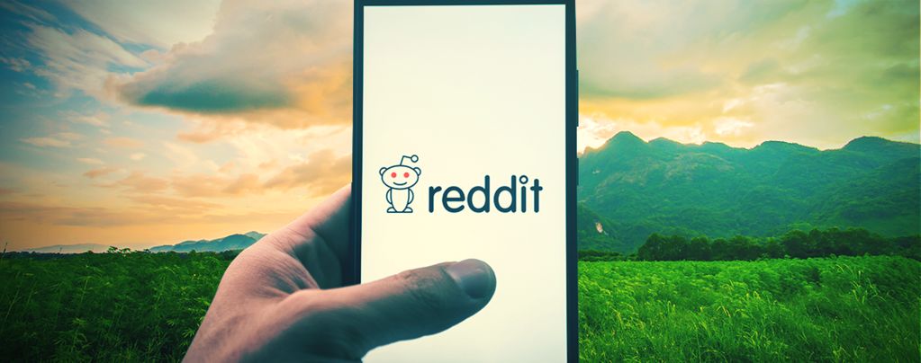Top 10 Reddit Weed Communities