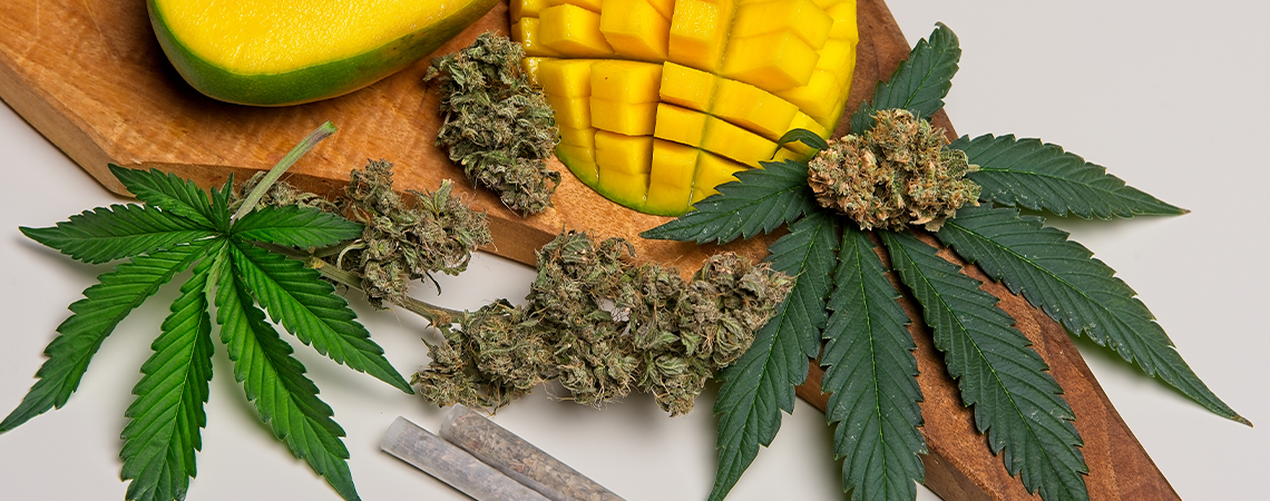 Hvad er myrcen i cannabis?